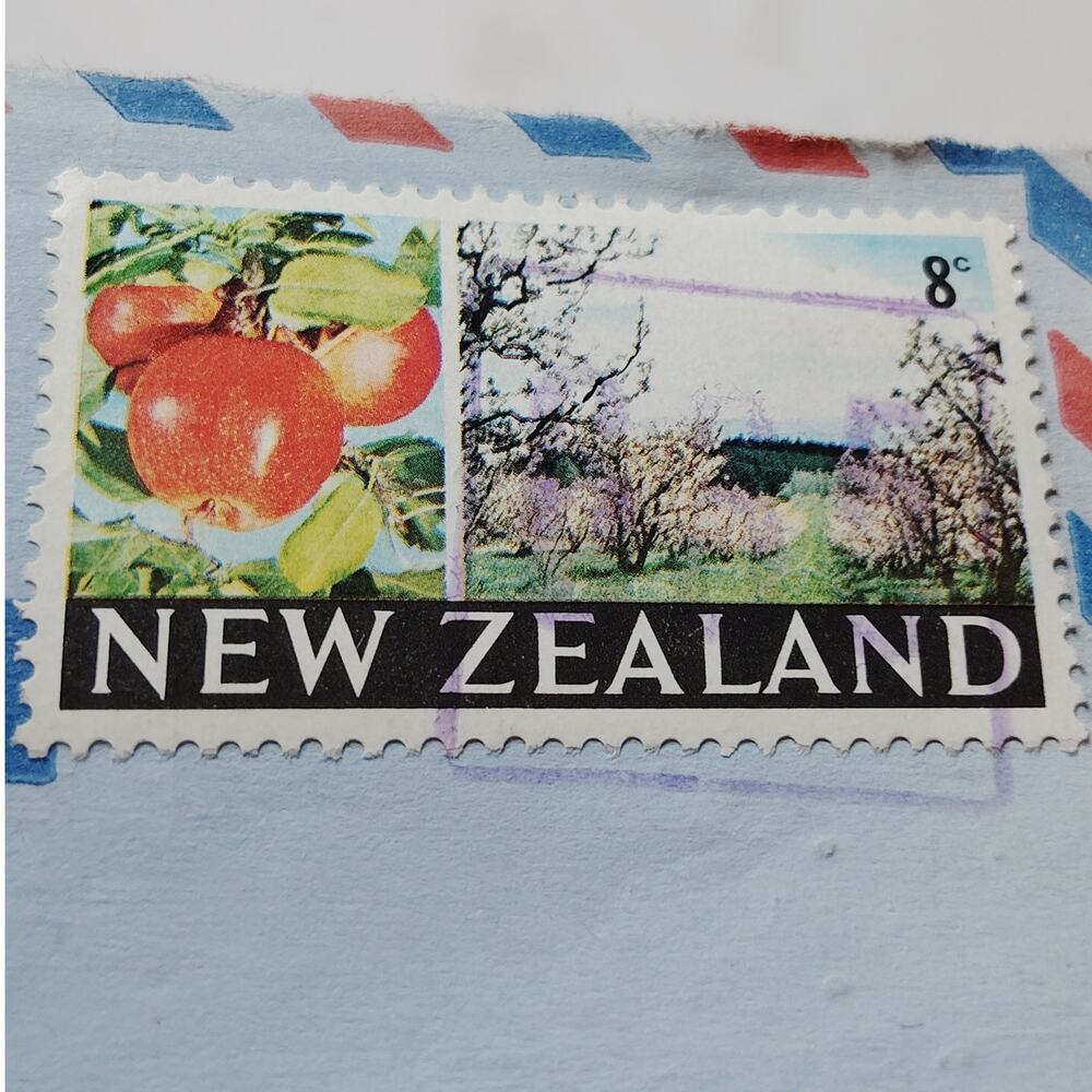 1969 New Zealand Aerogramme Cover 8c Apple Stamp Air Mail Wellington USA